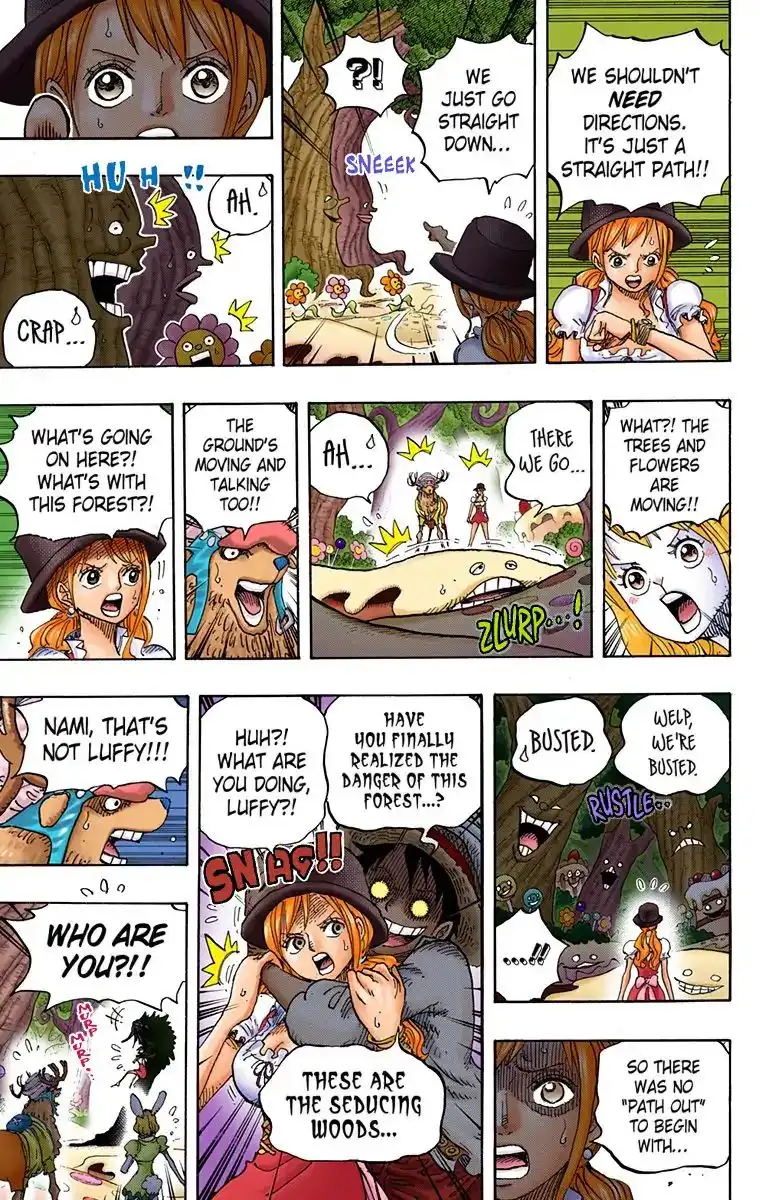 One Piece - Digital Colored Comics Chapter 832 11